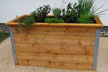 Ein bio-garten Hochbeet bringt Ihnen viel Gutes Hochbeet bepflanzt