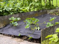 Unkrautvlies, 1,5 x 5 m Unkrautvlies im Erdbeerbeet