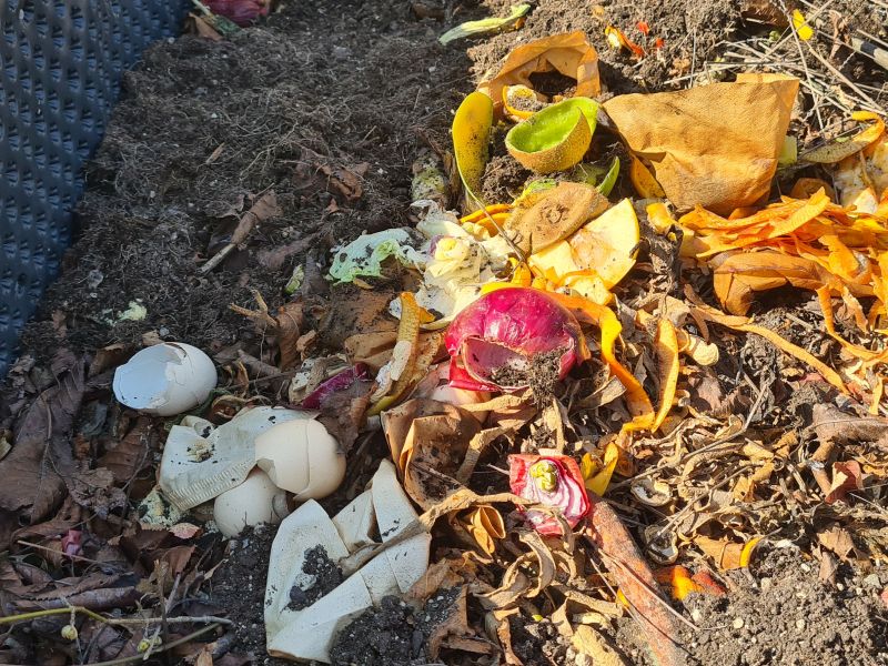 Abgesacktes Hochbeet auffüllen Küchenabfälle