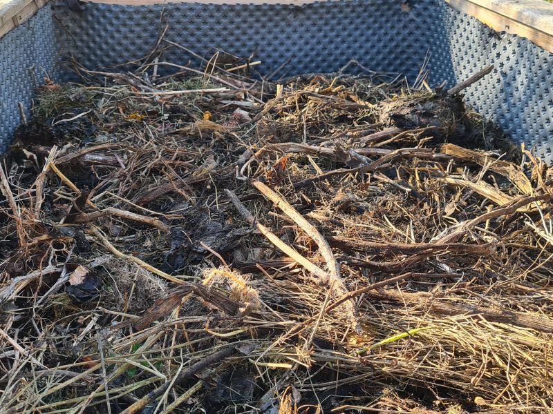 Abgesacktes Hochbeet auffüllen Grasschnitt