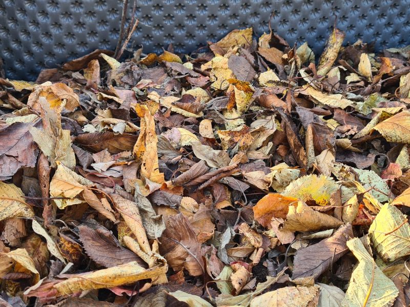 Abgesacktes Hochbeet auffüllen Laub