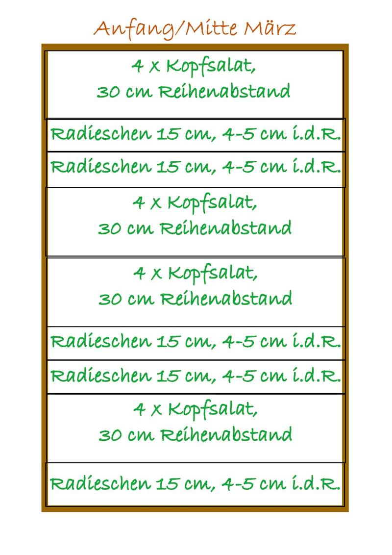 Salat und Radieschen Plan für die Hochbeet Vorkultur