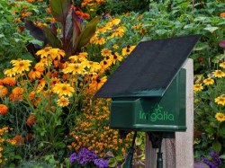 Solar Bewässerung Irrigatia Q Solarbewässerung-groß-im-Blumenbeet