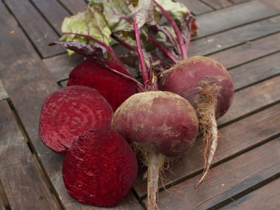 Rote Rüben: Rote Rübe 'Rote Kugel 2'