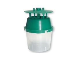 Falle zum Anlocken des Buchsbaumzünsler-Falters Bild