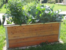 Hochbeet-Lärchenholz-mit-Pflanzen