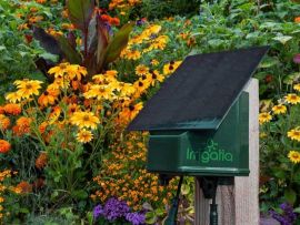 Solarbewässerung-groß-im-Blumenbeet