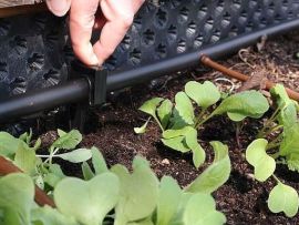 Bewässerung im Hochbeet