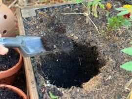 Ein ausgehobenes Loch in der Erde im Hochbeet