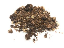 ein Häufchen Substrat mit Raubmilben