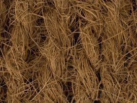 Kokos-Baumanbinder, Detail