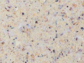 Vogeltränke Material Nahaufnahme