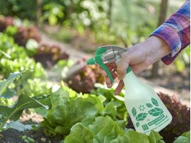 Besprühen von Gemüsepflanzen im Beet mit einer Sprühflasche