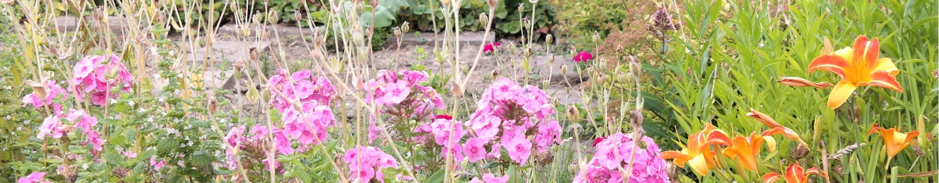 Blumenbeet