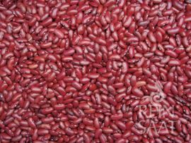 viele rote Kidneybohnen