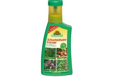 Schachtelhalm Extrakt, 250 ml Flasche