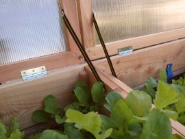 Großer Frühbeetaufsatz