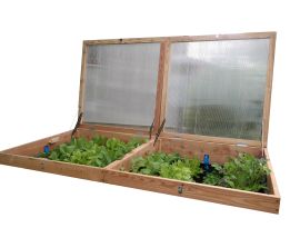 Frühbeetaufsatz bepflanzt