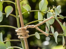 Bindedraht mit Jute-Mantel