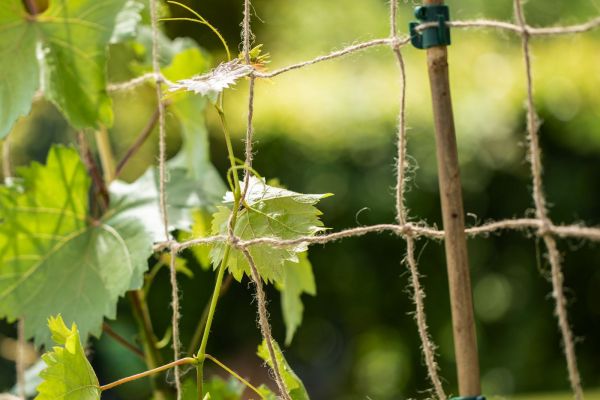Ranknetz aus Jute
