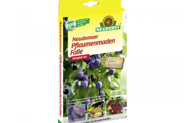 Pflaumenmadenfalle Set