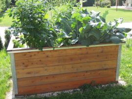 Hochbeet-Lärchenholz-mit-Pflanzen