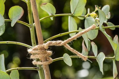 Bindedraht mit Jute-Mantel