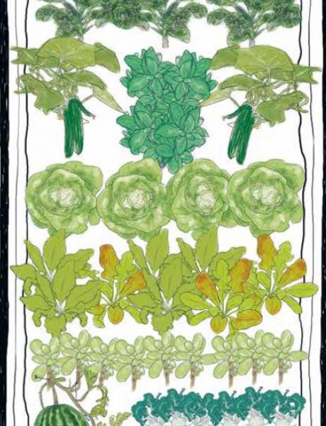 Hochbeet aus Holz, Nützlinge, Frühbeet, BioSamen und Mischkultur im