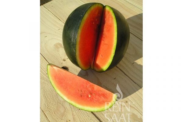 Wassermelone 'Sugar Baby'; ReinSaat©
