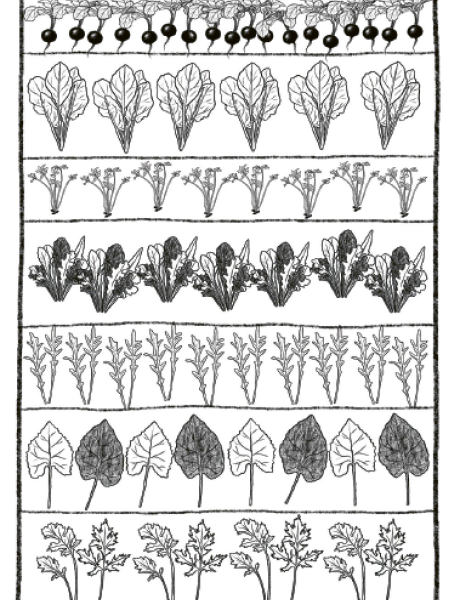 Sofort-Losernten-Hocheet