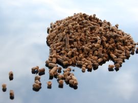 Pellets aus Bio-Schafwolle