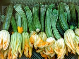 Zucchini 'Costates Romanesco' ©ReinSaat