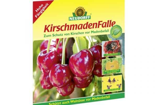 Kirschmadenfalle