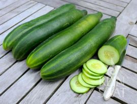 Zucchini 'Costates Romanesco' ©ReinSaat