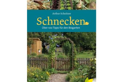 Buch Schnecken