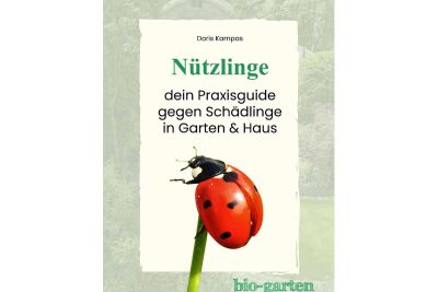 Marienkäfer auf Booklet Cover